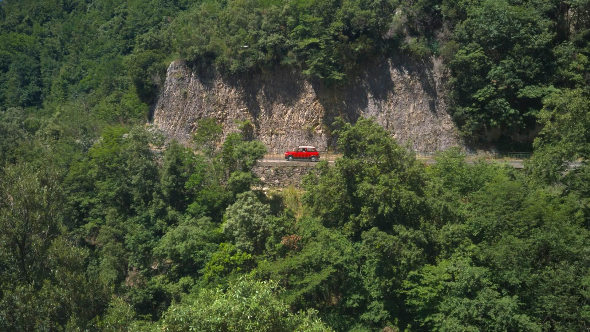 red and white car near green trees during daytime