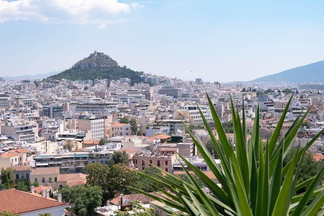 green palm tree near city buildings during daytime