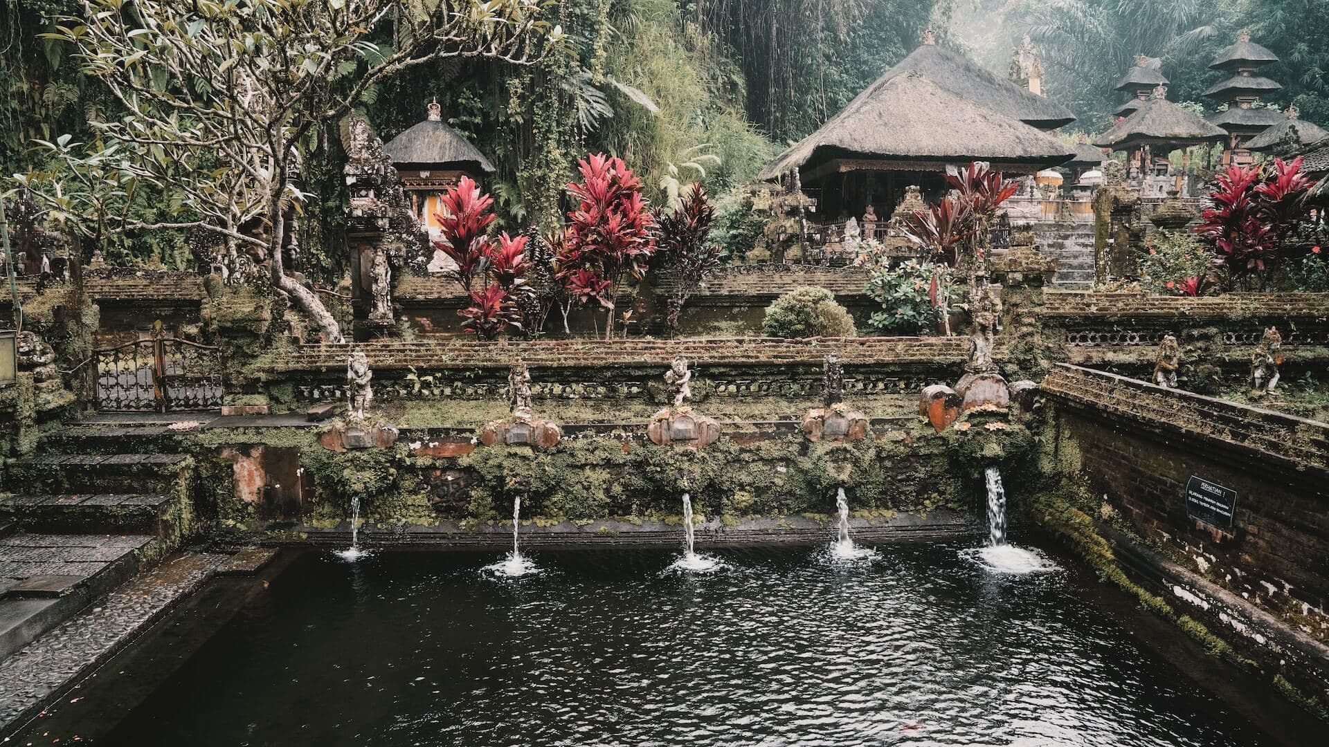 a pond with a lot of water jets in it