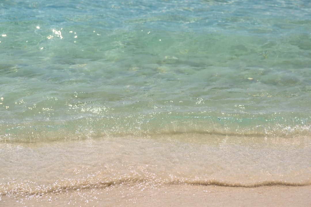 a sandy beach next to a body of water