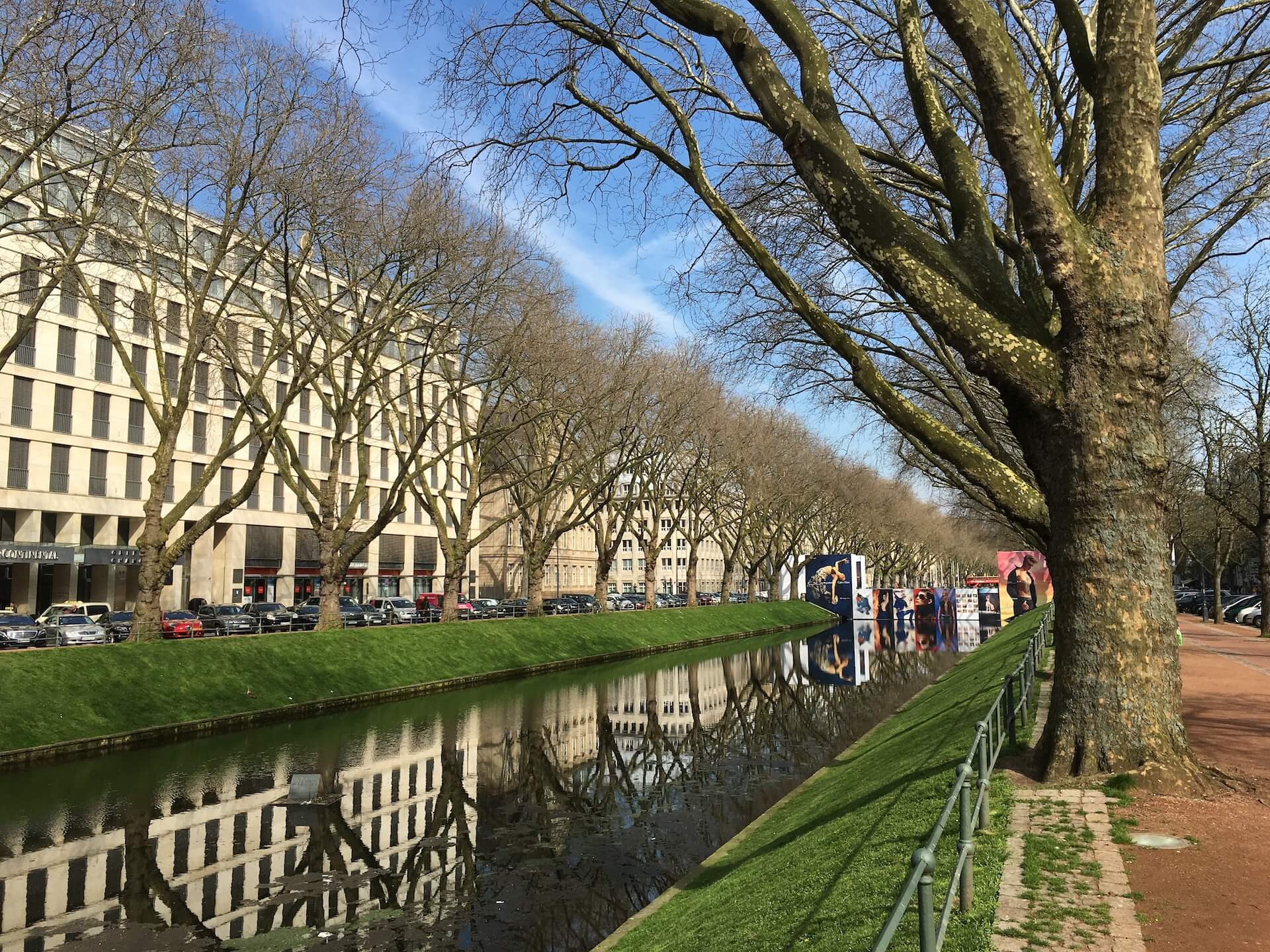 a river running through a lush green park