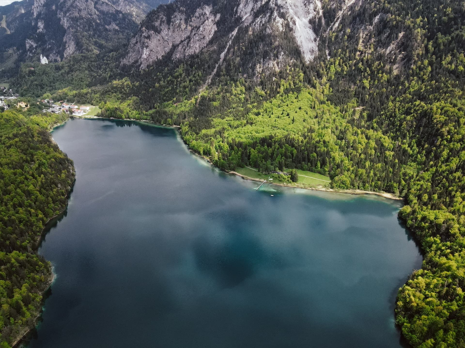 green trees beside body of water during daytime