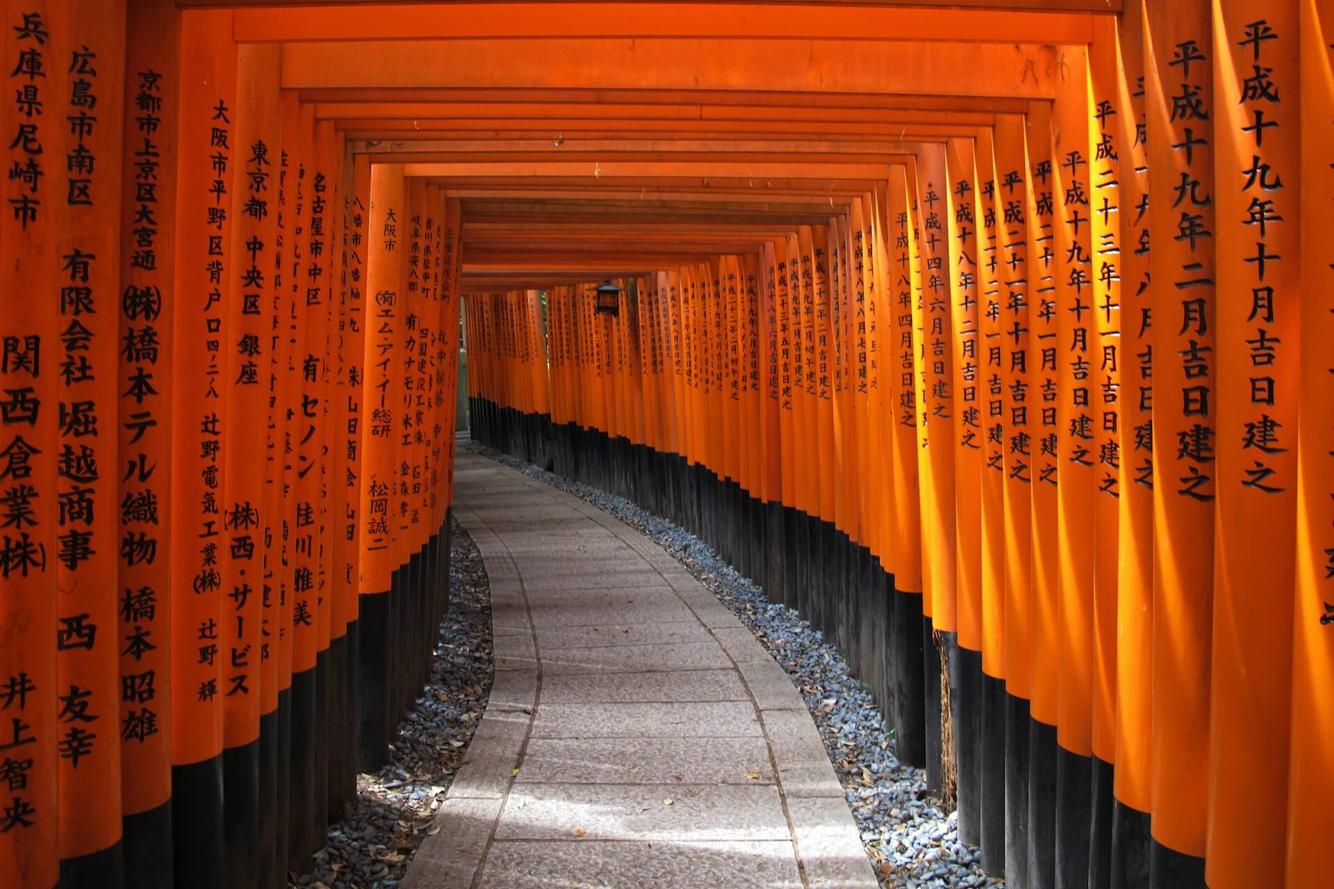 woman standing beside orange fence