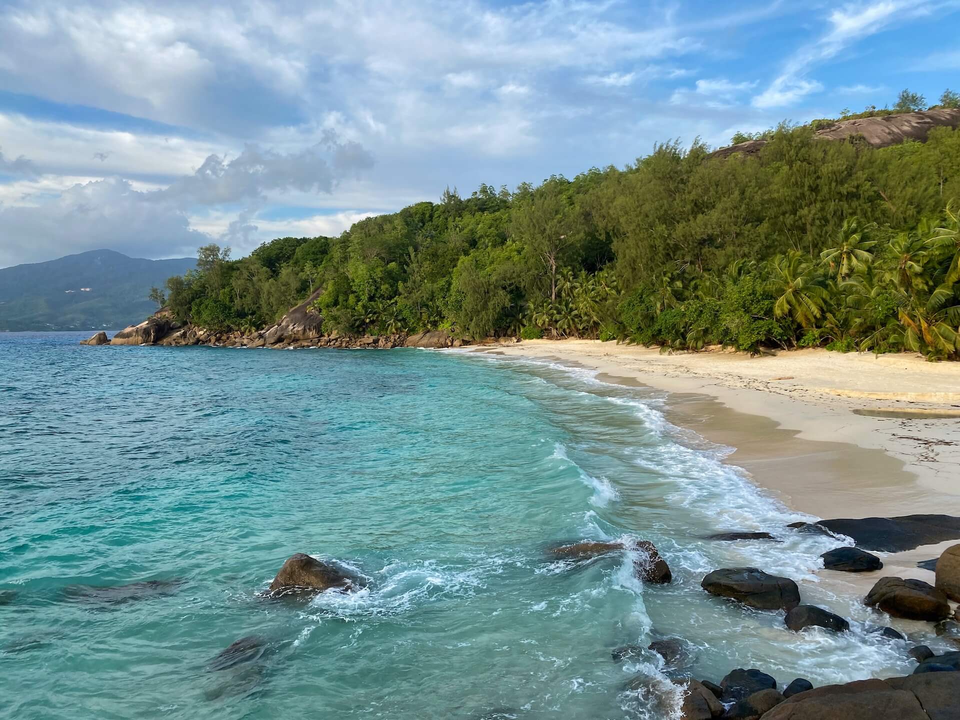 seashore during golden hour