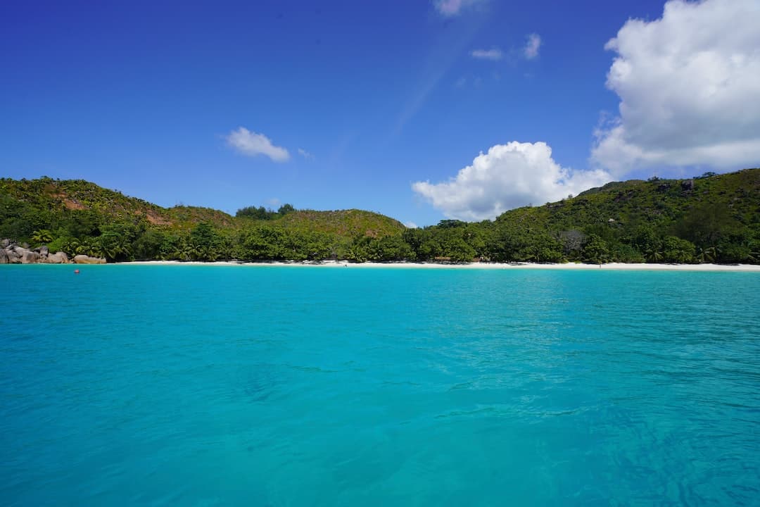 green trees on island during daytime