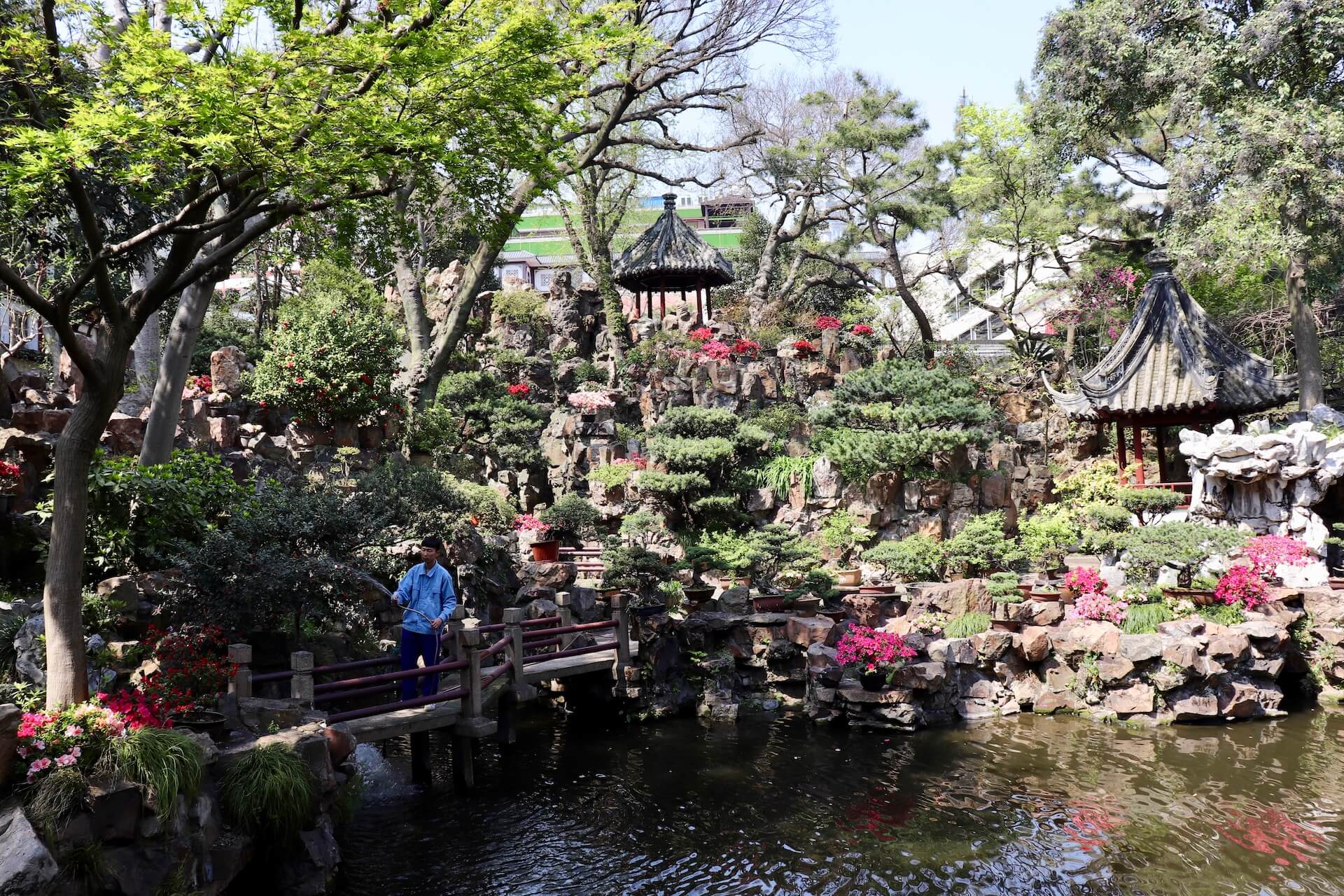 Yuyuan Garden