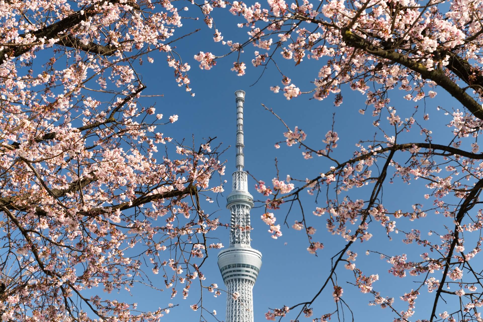 black and white tower under blue sky during daytime