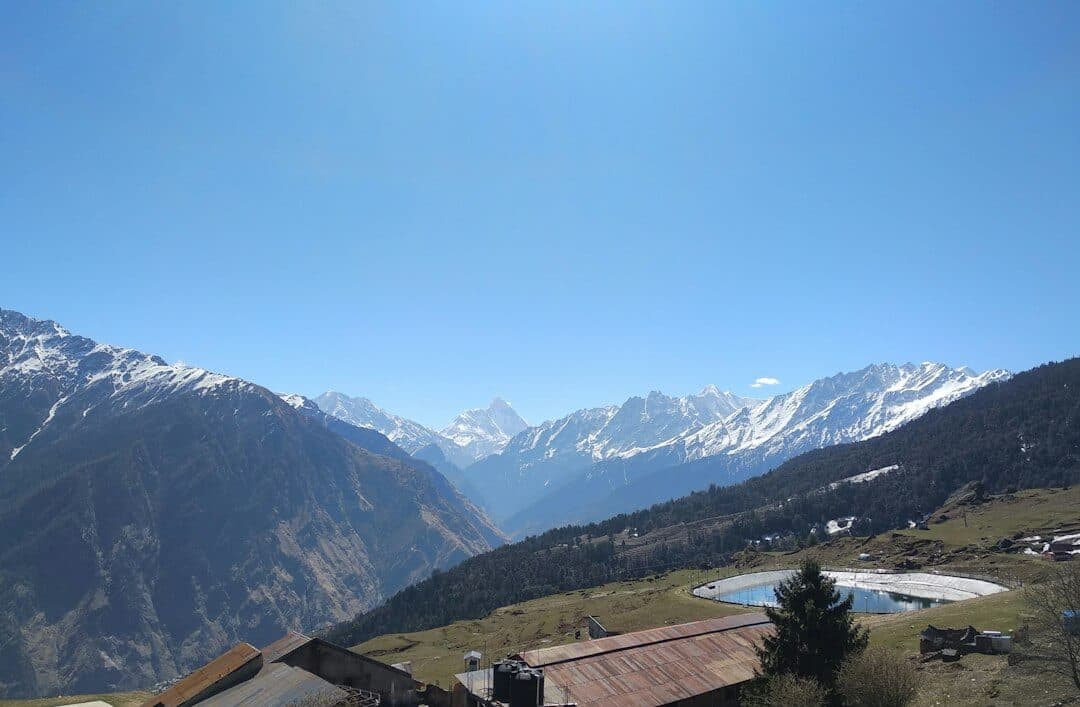 Auli