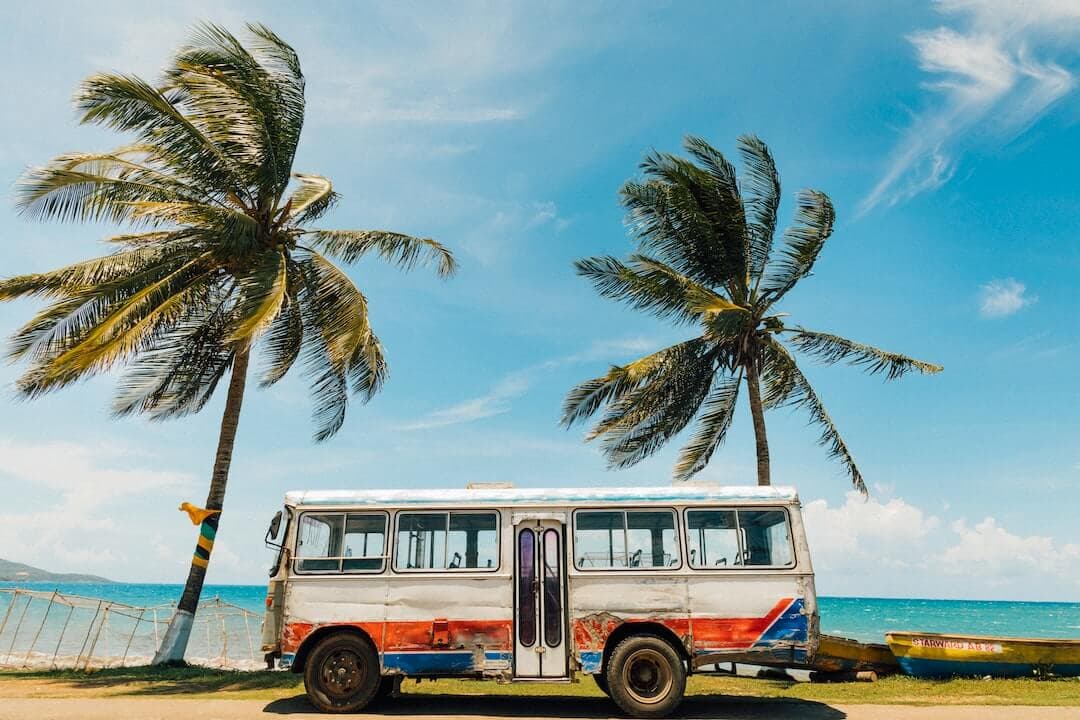 white and blue bus near palm tree under blue sky during daytime