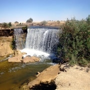 From Cairo: Full-Day Tour To El Fayoum