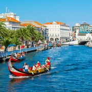 Aveiro: Tour de medio día desde Oporto con crucero