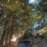 4x4 Serra da Estrela