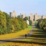 Windsor Castle Admission Ticket