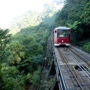Private Full-Day Hong Kong Island Top Attraction Tour