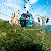 Hong Kong: Ocean Park Entry Ticket