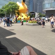 Yokohama Full Day Tour with a Local Expert Guide