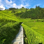 Terrazze di riso di Longji: Tour privato di un giorno intero da Guilin