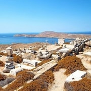 Crociera di un giorno a Delos e Mykonos da Naxos