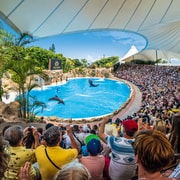 Puerto de la Cruz: Loro Parque Entry Ticket