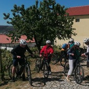 Visita in e-bike la regione vinicola della Valle del Douro con un tour di mezza giornata