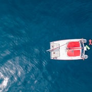 Barcelona: Sunset or Day Catamaran Cruise with Tapa & Drink