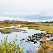 Reykjavik: Circuito Dourado, Kerid e Fridheimar Excursão de Minibus