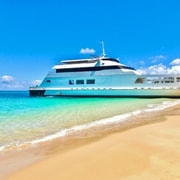 From Brisbane: Moreton Island Full-Day Trip