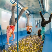 Amsterdam: Upside Down Museum Ticket
