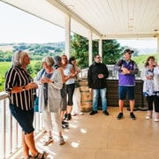 De São Francisco: Excursão de dia inteiro ao Vale de Napa e Sonoma