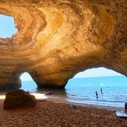 Albufeira: Benagil Caves & Dolphin Watching Speed Boat Tour