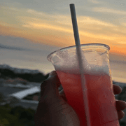 Compras e passeios turísticos Tour guiado local em Montego Bay