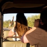 From Johannesburg: 3-Day Budget Kruger National Park Safari