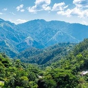 Visite d'une jounée des Montagnes Bleues (partagée/privée) - Principales attractions