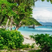 Cairns: Excursión de un día a la Isla Fitzroy con extras opcionales