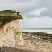London: South Downs White Cliffs Day Trip with Train Tickets