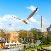 Istanbul: biglietto di ingresso prioritario per la Basilica di Santa Sofia e audioguida