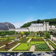 Tour: Tour mattutino dei castelli Azay-le-Rideau e Villandry