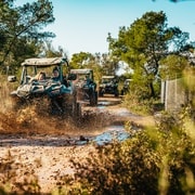 Palma de Mallorca: Off/On Road Buggy Tour with 2 or 4 Seater