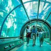Ha Noi: VinKE y Vinpearl Aquarium Ticket de entrada
