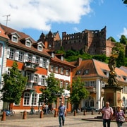 Heidelberg: Private 3-Hour Tour with Castle Visit