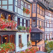 Au départ de Strasbourg : Visite d'une jounée des hauts lieux de l'Alsace