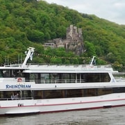 Châteaux de la vallée du Rhin : Tour en bateau de 1,5 heure au départ de Rüdesheim