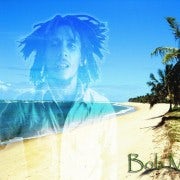 Montego Bay: Excursión de Bob Marley a 9 Mile, St. Ann