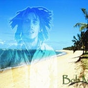 Montego Bay: Bob Marley Tour to 9 Mile, St. Ann