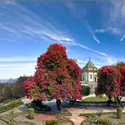 From Porto: Braga and Guimarães Day Trip with Lunch