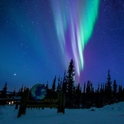 Da Fairbanks: Tour dell'aurora boreale e del circolo polare artico