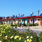 Città del Capo: tour guidato di mezza giornata alle township