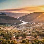 Vallée du Douro : 1 journée de visite à la photo de paysage avec un professionnel