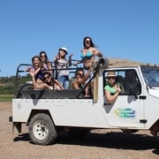 Depuis Albufeira : demi-journée de safari en jeep dans l'Algarve