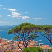 Cannes: Round-Trip Boat Transfer to Saint Tropez